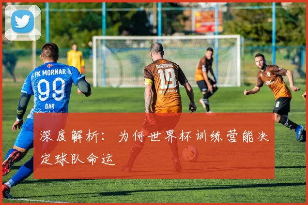 深度解析:为何世界杯训练营能决定球队命运