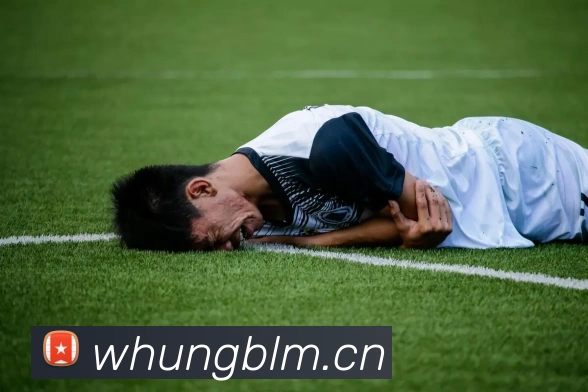 乐鱼体育app官网登录入口APP 高清赛事图